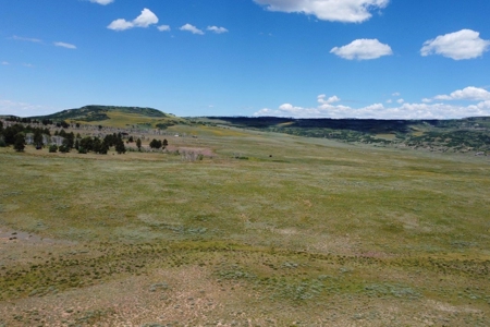 Lot For Sale, Mountain Property, Ridgway, Colorado - image 6