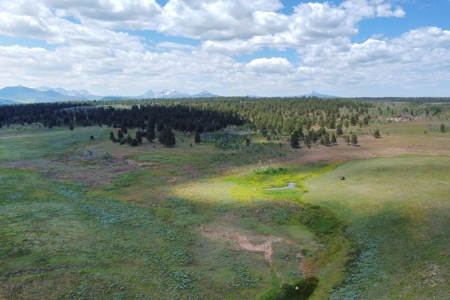 Lot For Sale, Mountain Property, Ridgway, Colorado - image 3