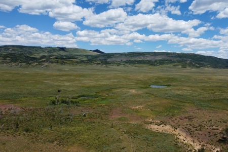 Lot For Sale, Mountain Property, Ridgway, Colorado - image 8