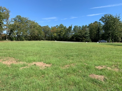 Land for Sale in Beaufort County, North Carolina - image 3