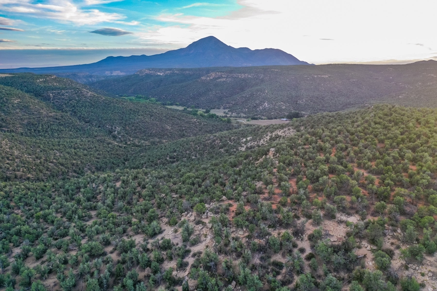 Hunting Land for Sale in Cortez CO!