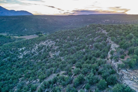 75 Acre Rural Retreat- Dream Home Site in Cortez, CO! - image 48