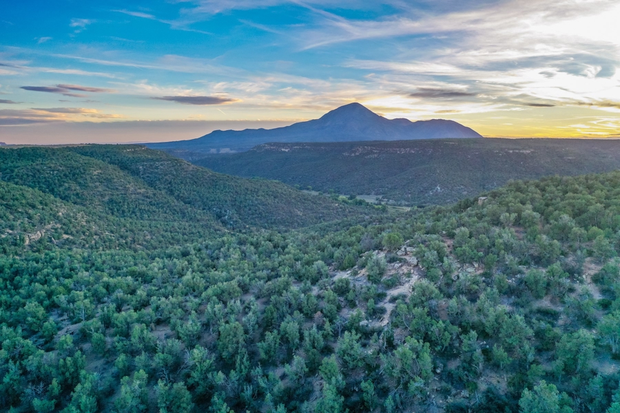 vacant Land for Sale in Southwest Colorado
