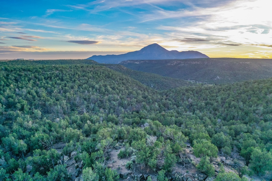 Large Acreage for Sale in Colorado
