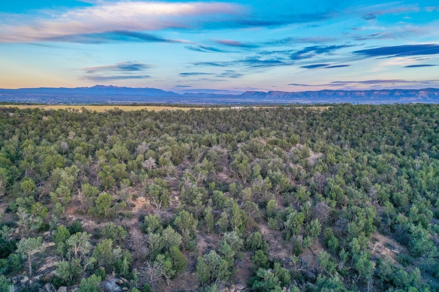 Large Acreage for Sale in Colorado