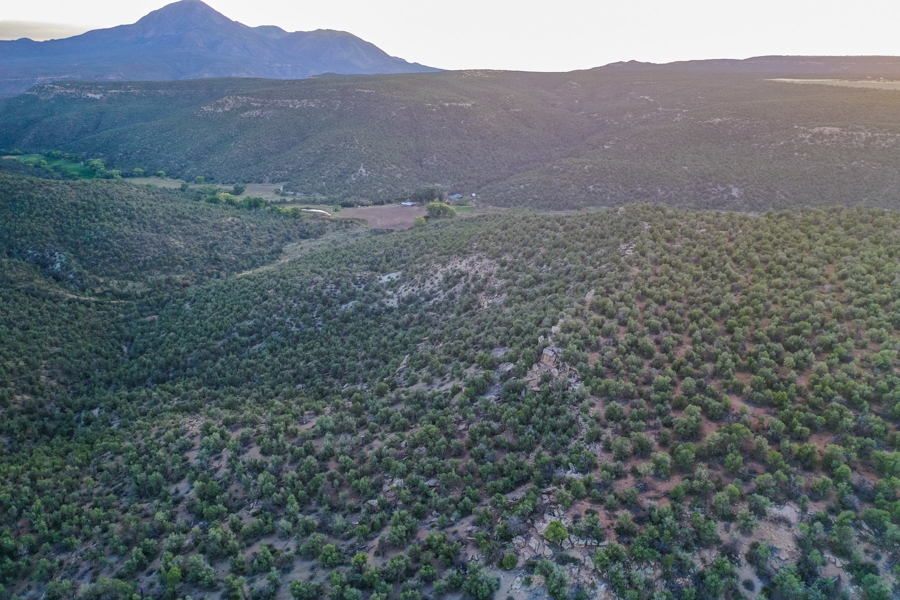 Large Acreage for Sale in Colorado