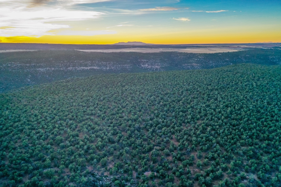 Large Acreage for Sale in Colorado