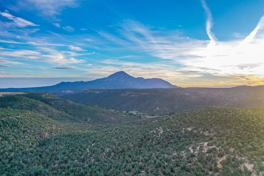 Land for Sale in Cortez Colorado