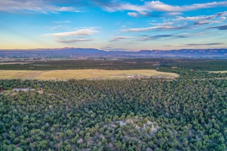 75 Acre Rural Retreat- Dream Home Site in Cortez, CO! - image 15