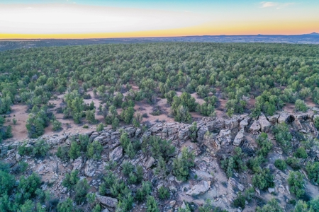 75 Acre Rural Retreat- Dream Home Site in Cortez, CO! - image 45