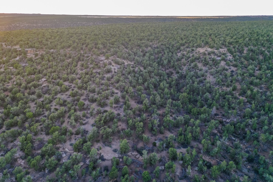 Land for Sale in Cortez Colorado