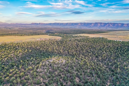 75 Acre Rural Retreat- Dream Home Site in Cortez, CO! - image 9