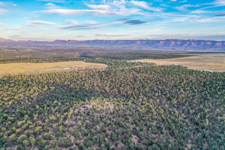 Land for Sale in Cortez Colorado
