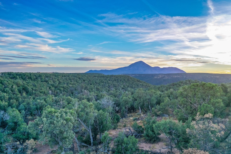 Hunting Land for Sale in Cortez CO!