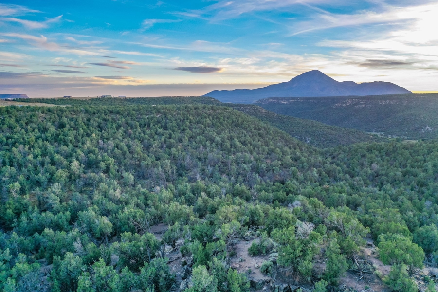 vacant Land for Sale in Southwest Colorado