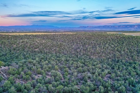 75 Acre Rural Retreat- Dream Home Site in Cortez, CO! - image 50