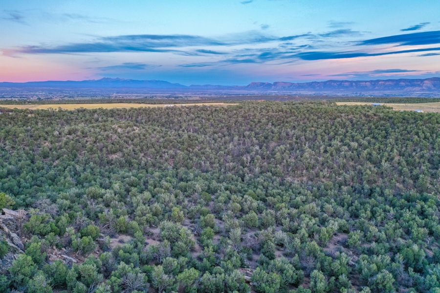 Recreational Land for Sale in Cortez Colorado