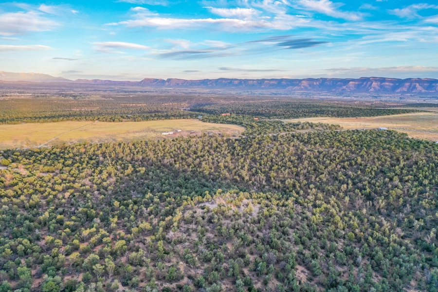Hunting Land for Sale in Cortez CO!