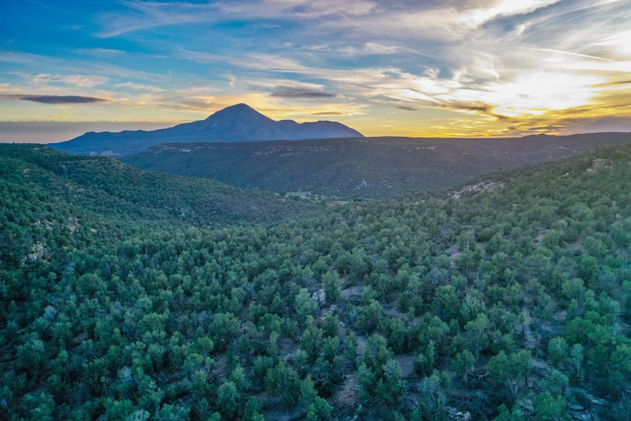 vacant Land for Sale in Southwest Colorado