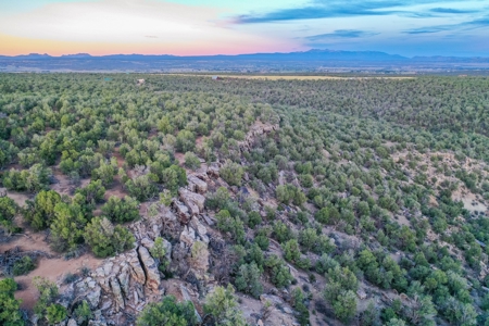 75 Acre Rural Retreat- Dream Home Site in Cortez, CO! - image 46