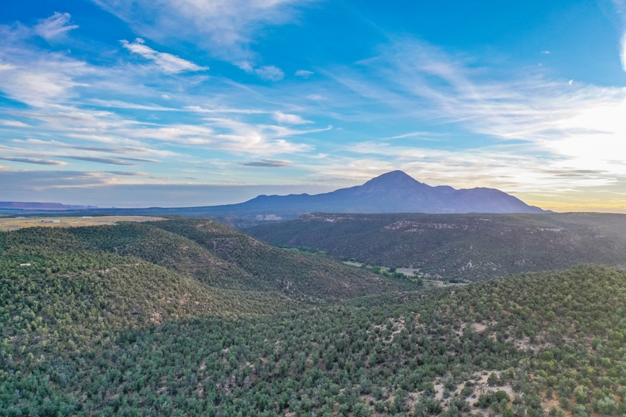 Land for Sale in Cortez Colorado