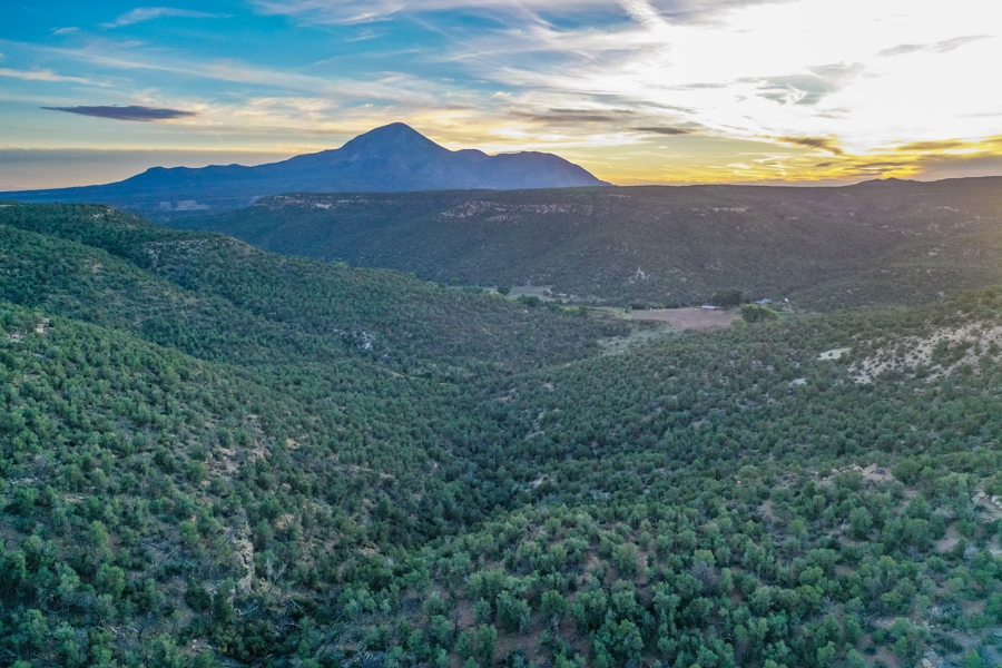 Hunting Land for Sale in Cortez CO!