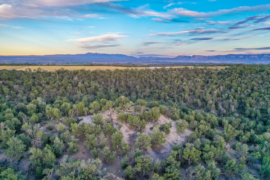 Large Acreage for Sale in Colorado