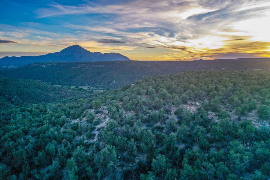 vacant Land for Sale in Southwest Colorado
