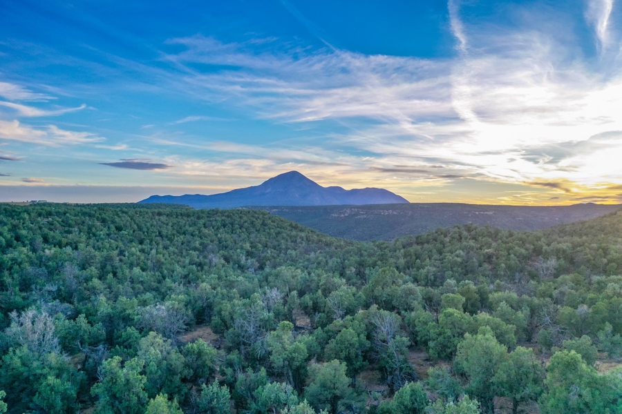 Hunting Land for Sale in Cortez CO!