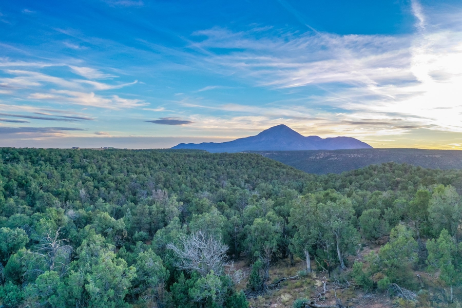 Land for Sale in Cortez Colorado