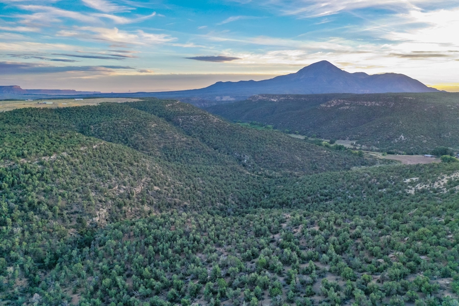 Hunting Land for Sale in Cortez CO!