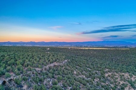 75 Acre Rural Retreat- Dream Home Site in Cortez, CO! - image 44