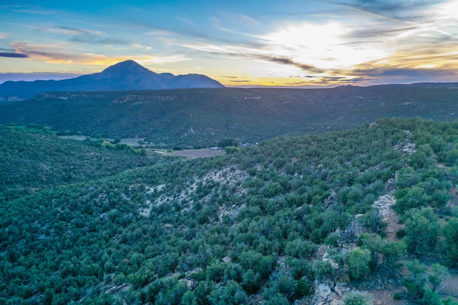 Land with Mountain Views for Sale in CO