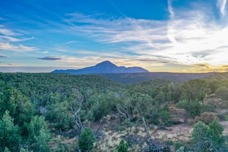 75 Acre Rural Retreat- Dream Home Site in Cortez, CO! - image 11