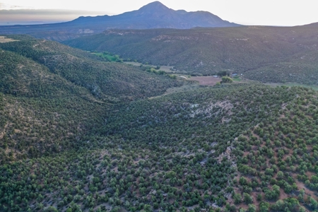 75 Acre Rural Retreat- Dream Home Site in Cortez, CO! - image 34