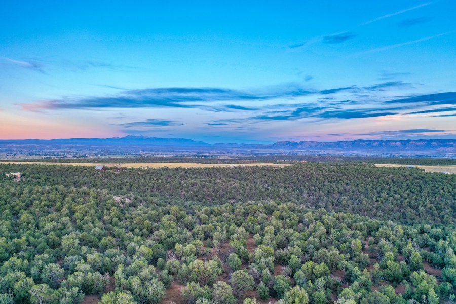 Land with Mountain Views for Sale in CO