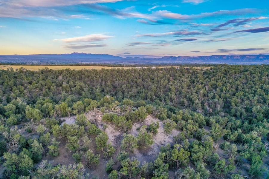 vacant Land for Sale in Southwest Colorado