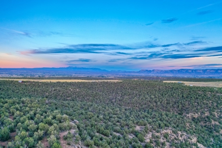 75 Acre Rural Retreat- Dream Home Site in Cortez, CO! - image 42