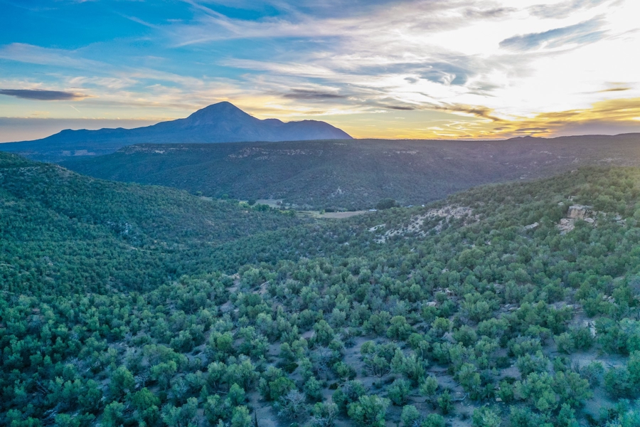 Large Acreage for Sale in Colorado