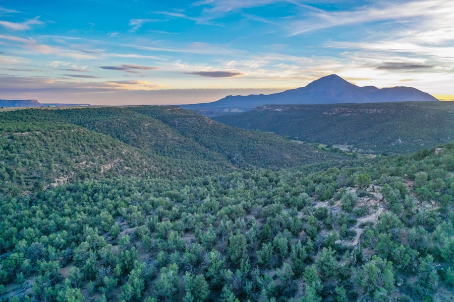 Large Acreage for Sale in Colorado