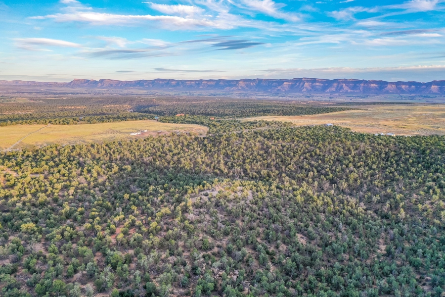 Land for Sale in Cortez Colorado