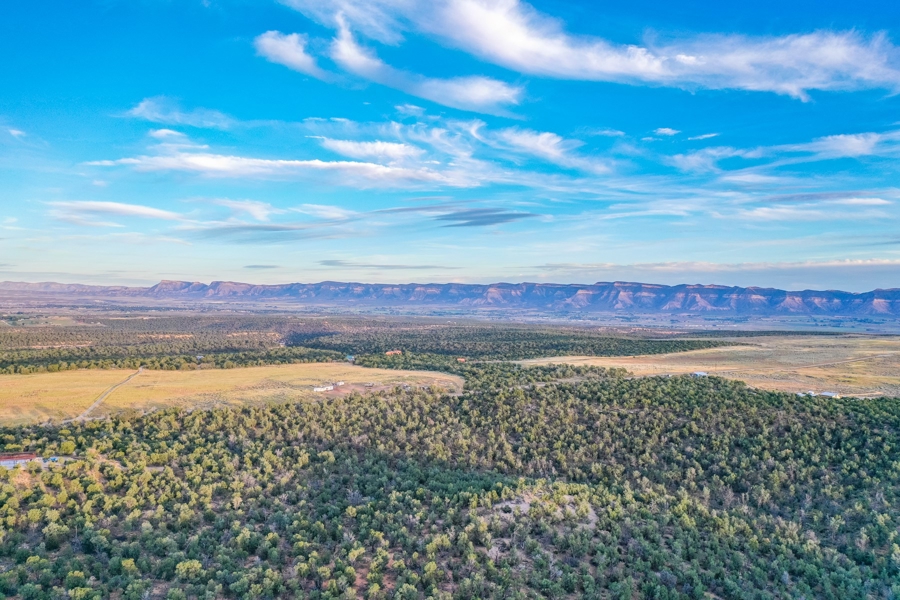 Hunting Land for Sale in Cortez CO!
