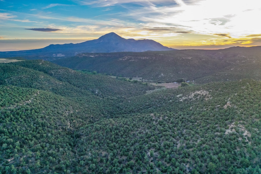 Land for Sale in Cortez Colorado