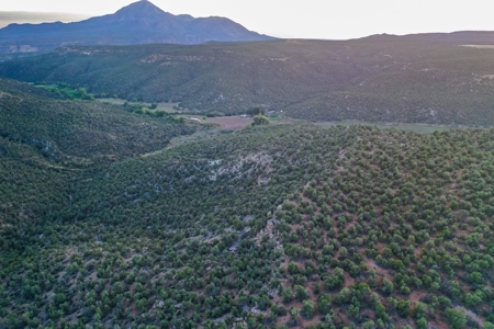 75 Acre Rural Retreat- Dream Home Site in Cortez, CO! - image 33