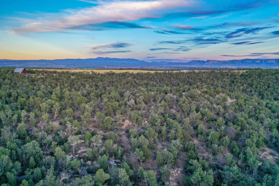 vacant Land for Sale in Southwest Colorado