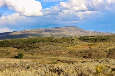 Colorado Mountain Building Land For Sale Near Carbondale - image 3