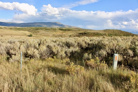 Colorado Mountain Building Land For Sale Near Carbondale - image 6