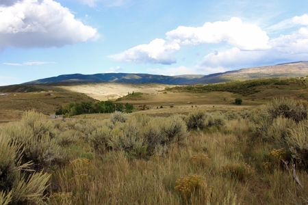 Colorado Mountain Building Land For Sale Near Carbondale - image 1