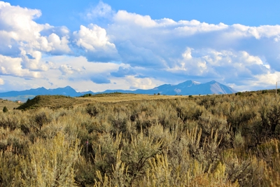 Colorado Mountain Building Land For Sale Near Carbondale