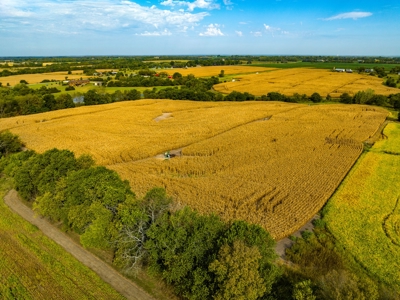 77+/- Acres of Prime Land for Sale by Gardner, Kansas - image 6